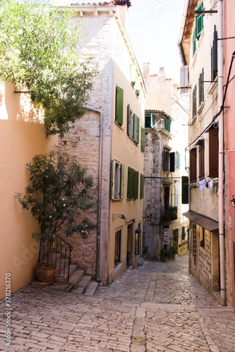 Typique ruelle étroite pavée et colorée parsemée de plantes à Rovinj en Croatie