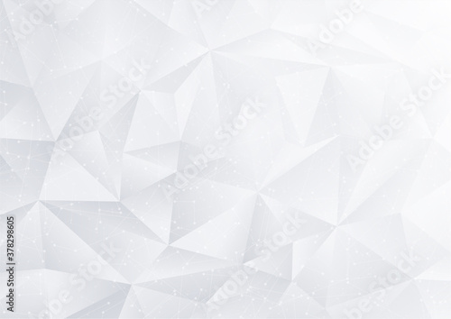Abstract polygon white background with geometric poly pattern (silver triangle shape texture) and curved digital lines. Light gray technology backdrop useful for presentation, certificate design