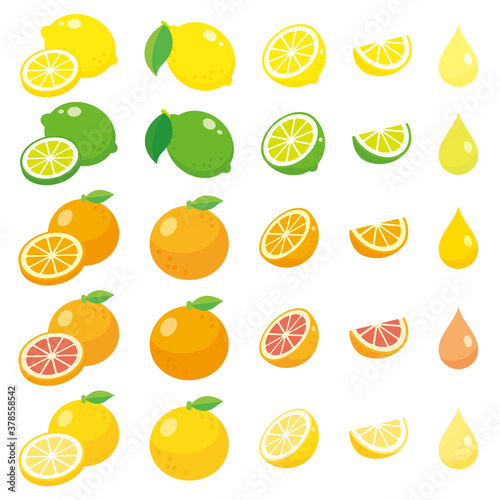 柑橘系のカットフルーツセット、新鮮なレモン、ライム、オレンジ、グレープフルーツのベクターイラスト