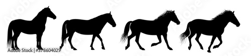 The horse silhouettes are isolated on the white background.
