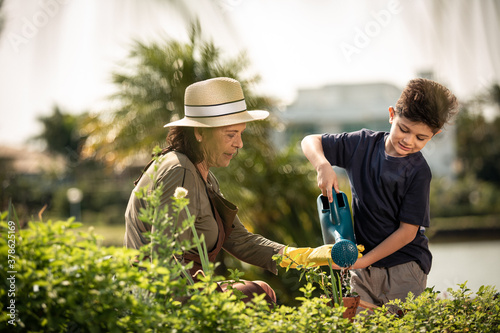 Jardinagem ensinado pelos avós