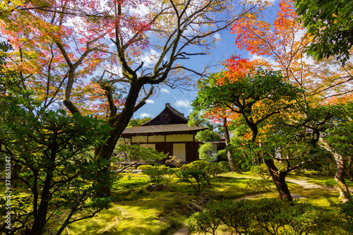 Temple surrounded of colored trees in Kyoto (Japan)