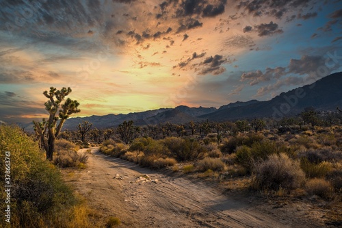 This beautiful outdoor image captures a golden sky right before sunset in a remote desert landscape. 