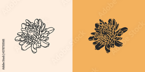 Hand drawn vector abstract stock flat graphic illustration with logo elements set,chrysanthemum autumn line flowers and silhouette,magic art in simple style for branding,isolated on color background