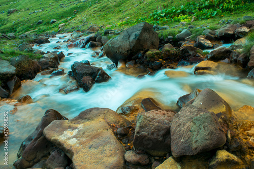 forest stream with sip of water near Mount Aragats