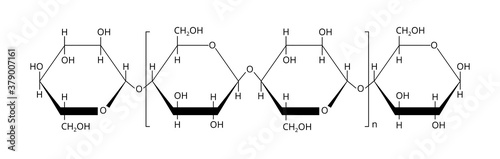 2D vector illustration of the natural polymer polysaccharide cellulose, which is derived from D-glucose units linked by 1,4 β-glycosidic bonds. The structural formula is isolated on a white background