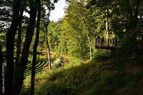 Arboretum Bramy Morawskiej – ogród botaniczny usytuowany we wschodniej części Raciborza obejmujący całym swoim zasięgiem las komunalny Obora. komunalny Obora krzewy lato 