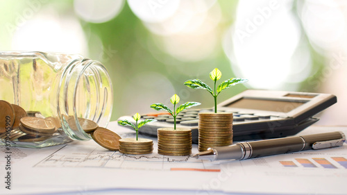 Plant trees on coins and calculators, financial accounting concepts and save money.