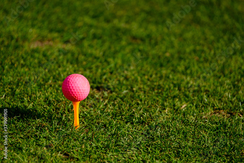 close-up of pink golf ball on yellow tee on golf course