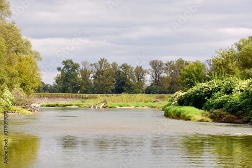 Rezerwaty przyrody w Krainie Górnej Odry, położony jest na południowo-zachodniej części województwa śląskiego. Graniczne Meandry Odry w Chalupkach. Szlak kajakowy na Odrze na granicy z Czechami. 