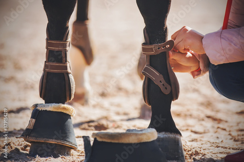 A woman in a pink jacket sits down on the sand next to the legs of a black horse, and removes her sports equipment - boots and bandages.