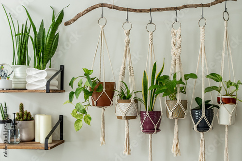 Six handmade cotton macrame plant hangers are hanging from a wood branch. The macrame have pots and plants inside them. There are decorations and shelves on the side with an egg chair and a table.