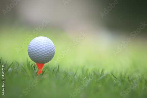 golf ball on tee play game