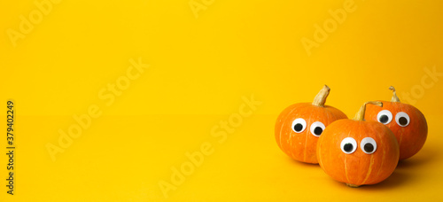 Autumn pumpkins on a yellow banner background. Concept for Autumn, Harvest, Halloween and Thanksgiving. Pumpkin Dishes