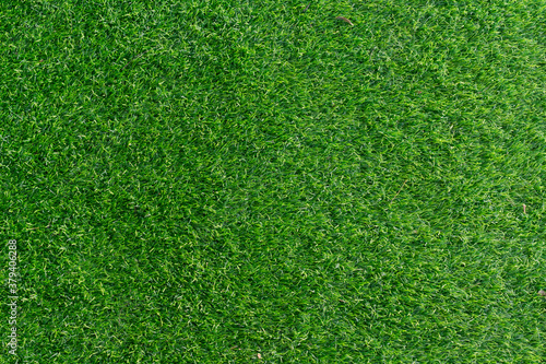 picture of green grass field background