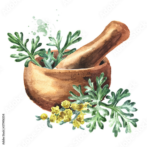 Mortar and medicinal plant wormwood, Hand drawn watercolor illustration isolated on white background