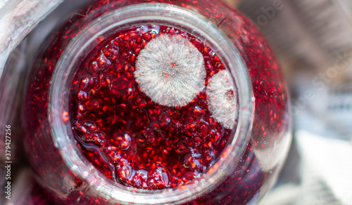 Mold in a jar of raspberry jam. Hazardous to health.