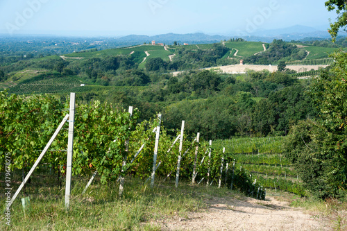 panorama sui vigneti di Gattinara, Piemonte, Italia