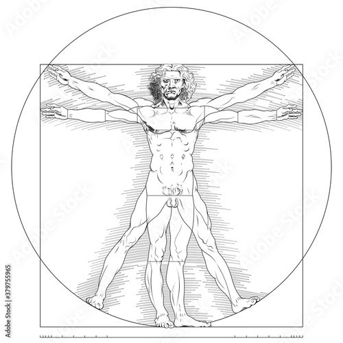 Illustration of Vitruvian man, Leonardo da Vinci drawing, Study of the anatomy of the human body, Canon of human proportions, only lines, all on white background