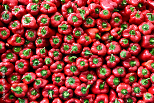 Fresh organic Turkish red bell peppers, farmers produce market, Istanbul, Turkey