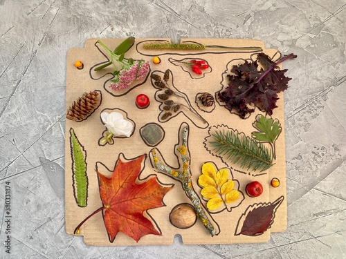 On a cardboard box drawn silhouettes of autumn materials , children's puzzle game .