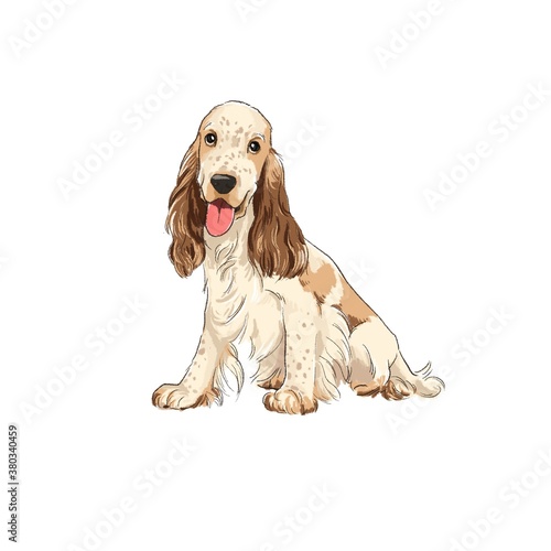 cocker spaniel dog