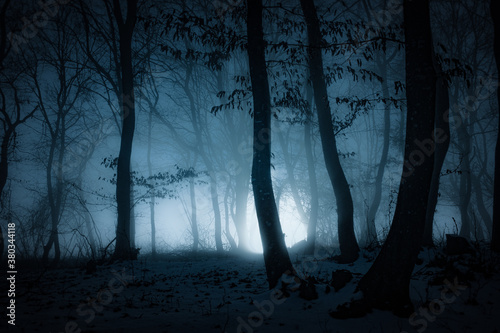 dark misty forest panorama fantasy halloween landscape