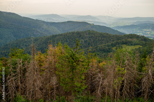 Gorce i Beskid Wyspowy, widok ze szczytu Gorca