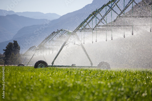 Close up image of a center pivot on a green field of wheat, providing irrigation to the crops