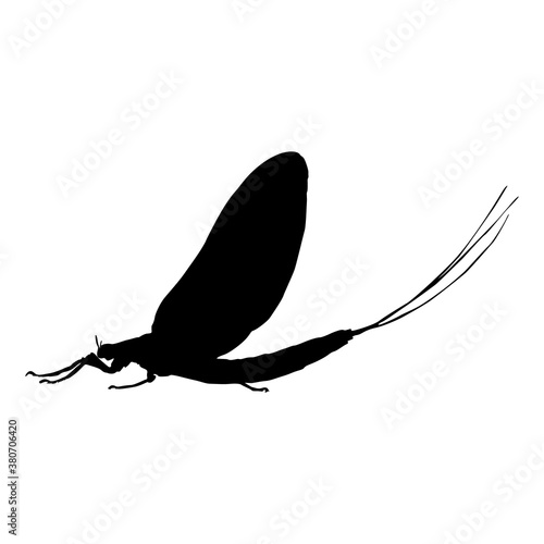 Flying Mayfly (Ephemeroptera) On a Side View Silhouette Found In Map Of All Around The World. Good To Use For Element Print Book, Animal Book 