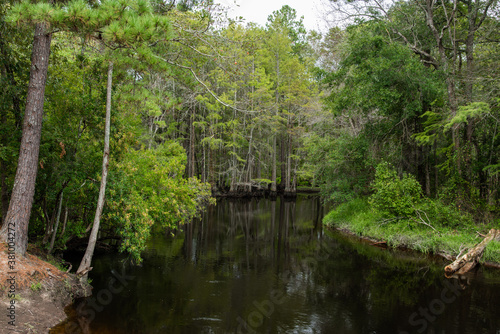 Along the Lumber River at Chalk Banks in Scotland County, NC