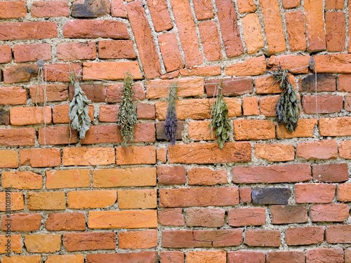 Herbs on bricks