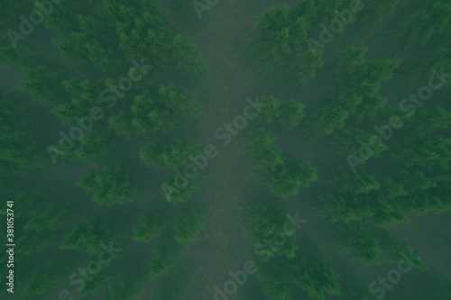 aerial view on the road in a forest, vertical path