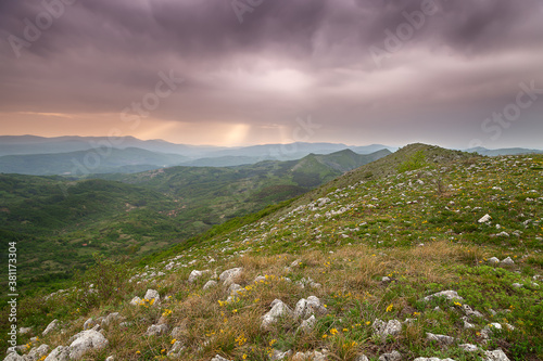 Yellow flowers at the rocky peak, murky, colorful sunset sky and distant mountains covered by vegetation lighten by golden sunlight