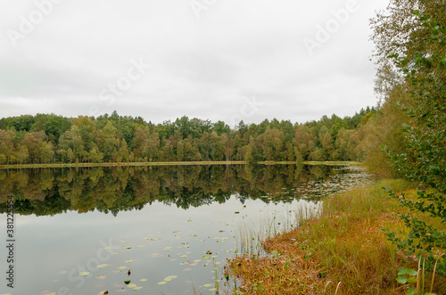 Jezioro, las i niebo