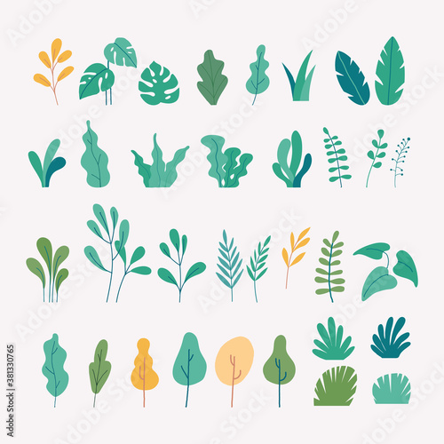 Vector set of flat illustrations of plants, trees, leaves