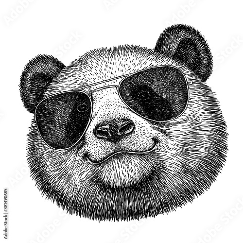 black and white engrave isolated panda illustration