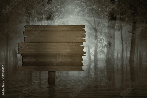 Blank wooden sign on the lake in a haunted forest with a dramatic scene background