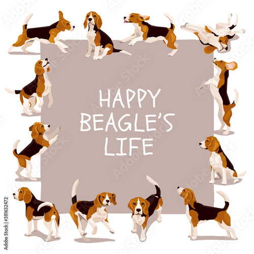 Happy beagle life vector card or poster with cute flat funny plaing puppys in various poses and action. Design for dogs lover