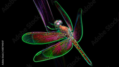 multicolored dragonfly on a leaf, macro photo of this elegant and fragile predator with wide wings and giant colorful eyes, digital neon light effect, black background, Thailand