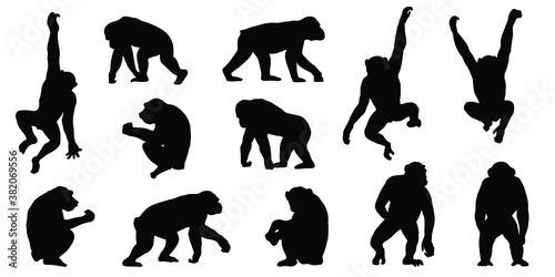 chimpanzee silhouettes