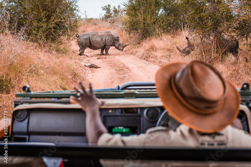 Safari guide in jeep with calming sign looking at rhinos in the wild