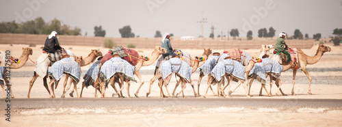 camel herders 