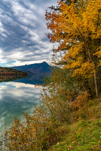 Herbstliches Ufer des Walchensees mit Blick auf die bayerischen Alpen