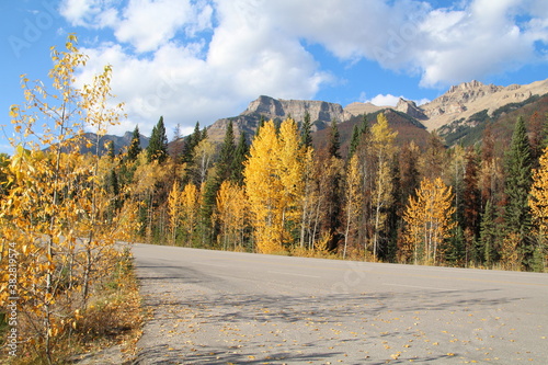 Autumn Colours Along The Icefields Parkway, Jasper National Park, Alberta