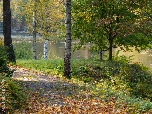 autumn day on the river beach