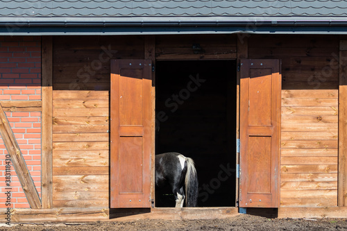 Otwarte drzwi stajni i wystająca pupa konia - stajnia i zwierzyniec zwierząt domowych