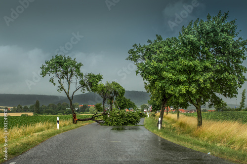 Umgekippter Baum Sturmschaden 