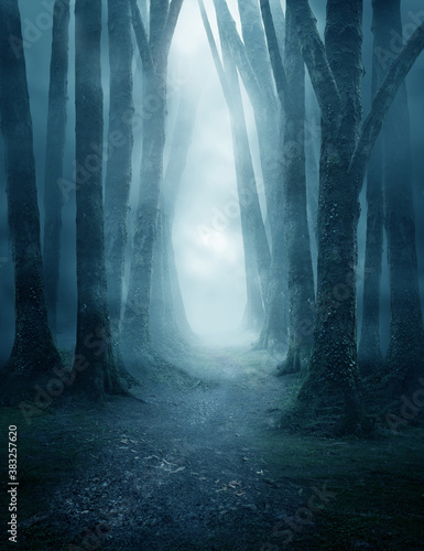 A dark and moody forest pathway covered in mist. Photo composite.