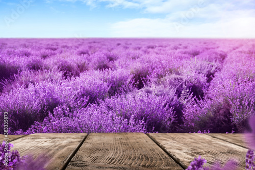 Empty wooden surface in lavender field under blue sky